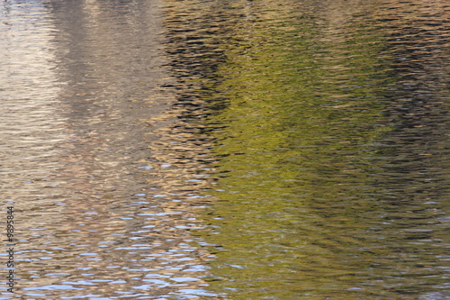 reflex