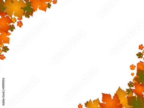 autumn leaves background