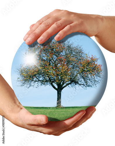 sphère nature