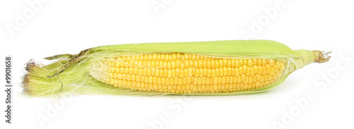 Cron maize kernels