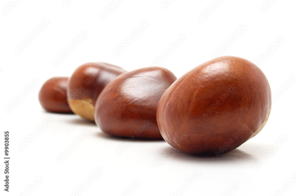 Obraz premium Four conkers on white