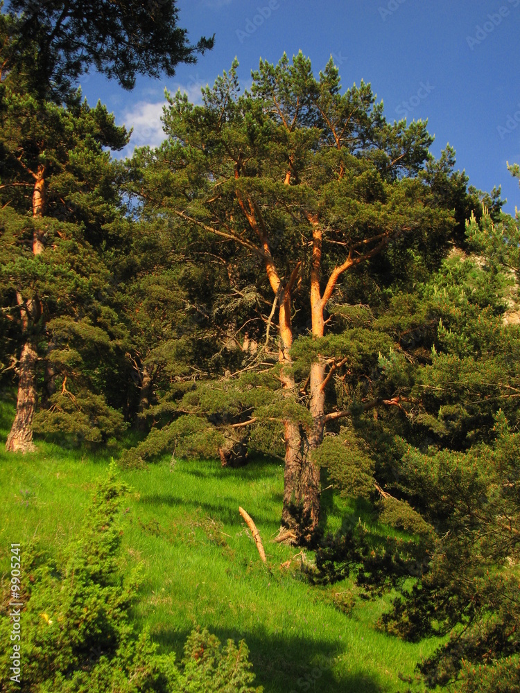 Fototapeta premium Hautes Pyrénées
