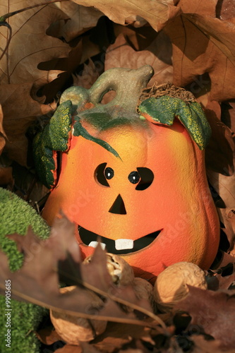 Pumpkin