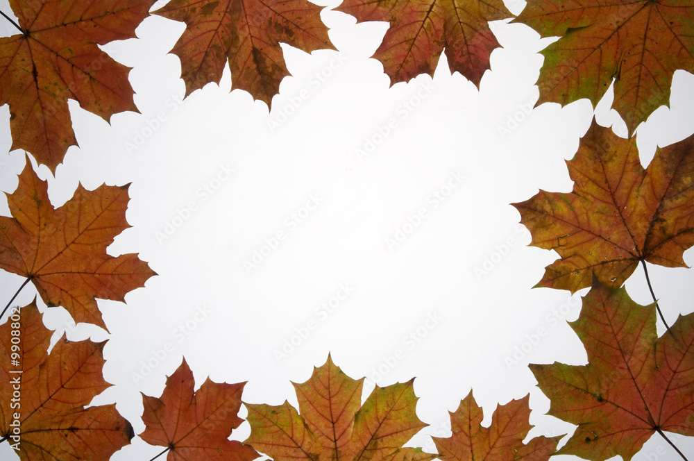 Autumn leaves frame Autumn leaves frame