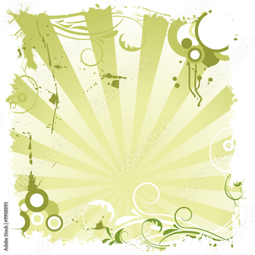 vector background with flower ornaments