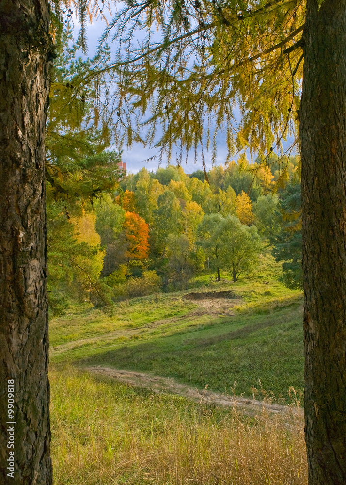 vivid colors autumn landscape. footpath on hill