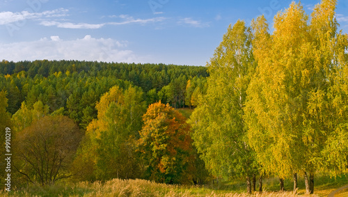 vivid colors autumn landscape. panoramic