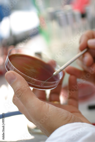 laboratorio