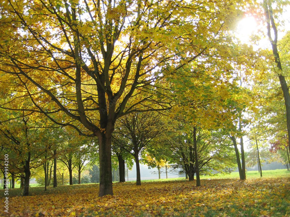 herbst herbst