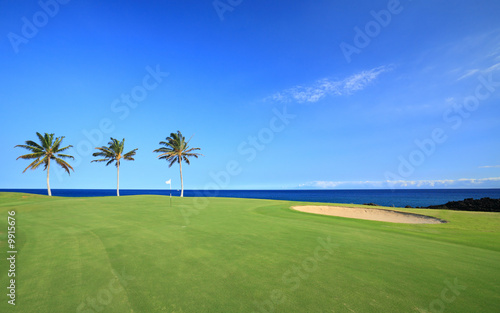 Golf Course on Green Ocean Shore of Kona Island, HI