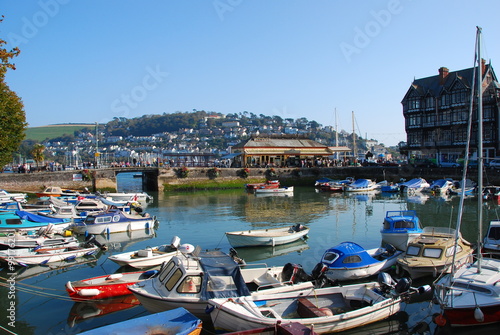 Tablou pe pânză Dartmouth Harbour