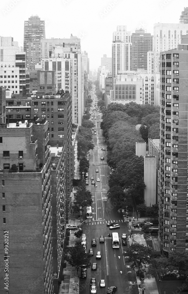 Avenue of Manhattan, New York.