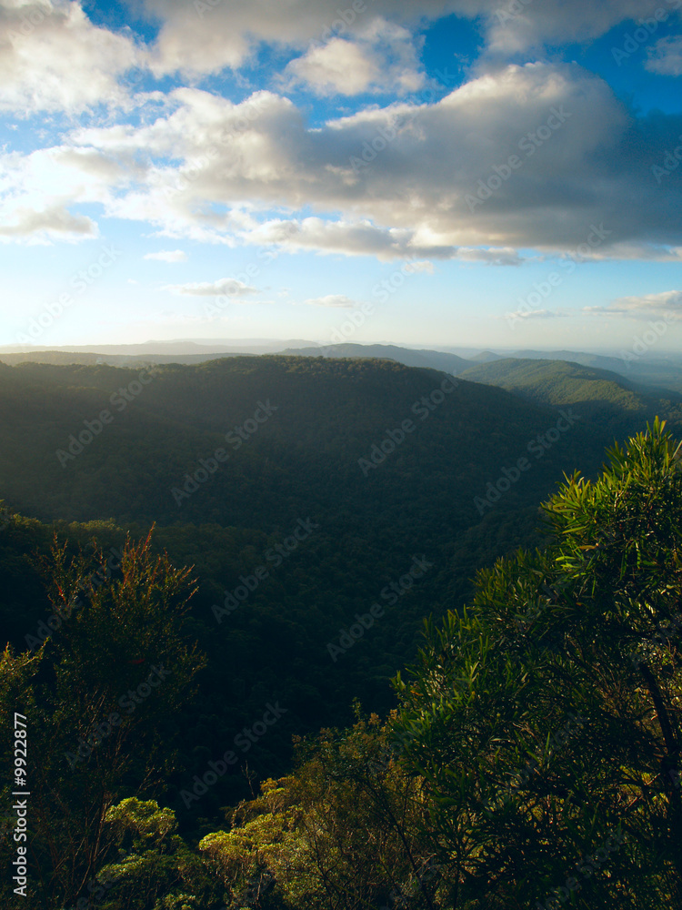 Fototapeta premium Beautiful view in Springbrook national park, Australia