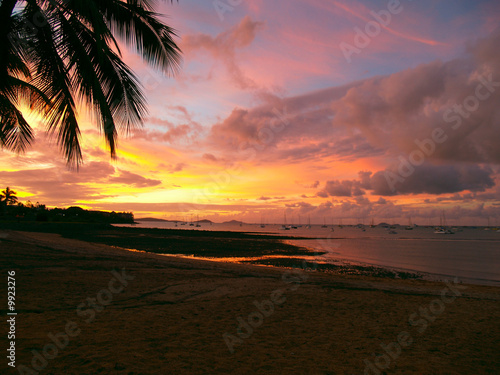 Beautiful sunset with a palmtree silhouette