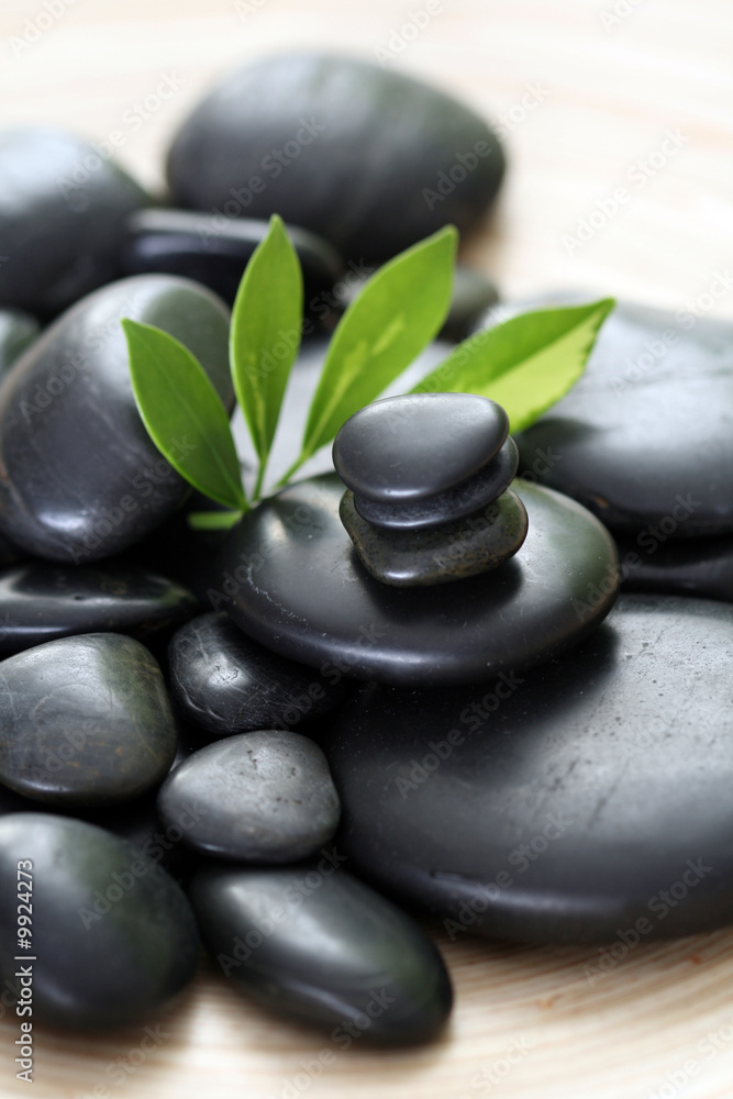 black pebbles and green leaves - beauty treatment