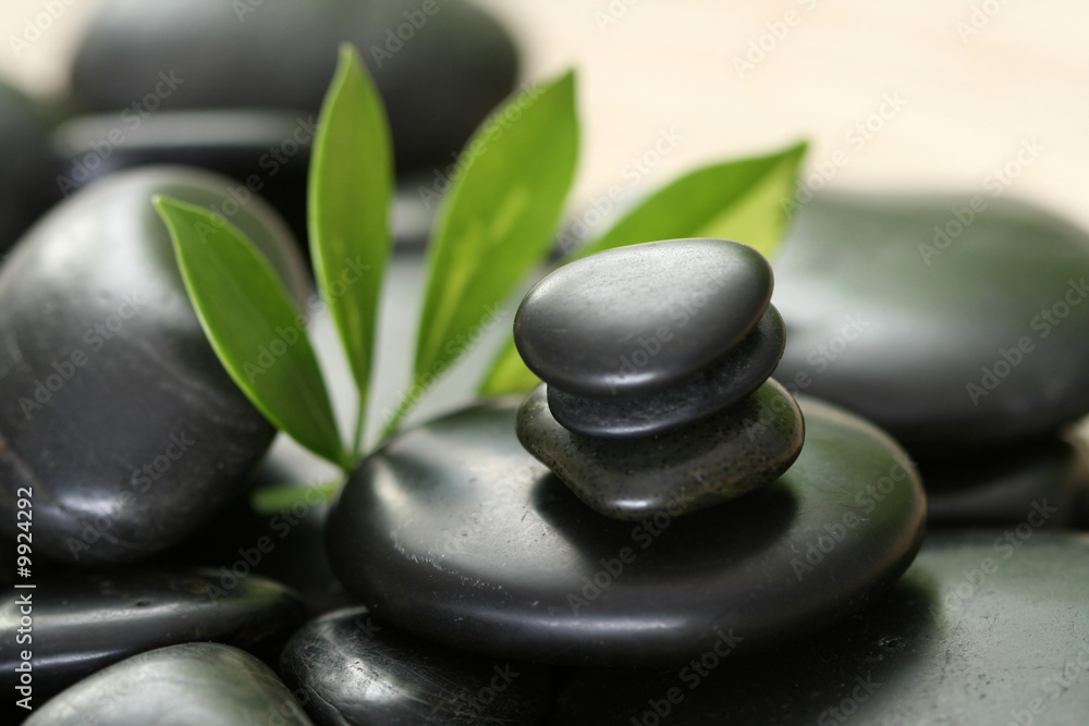 black pebbles and green leaves - beauty treatment black pebbles and green leaves - beauty treatment