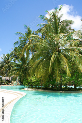 tropical swimming pool