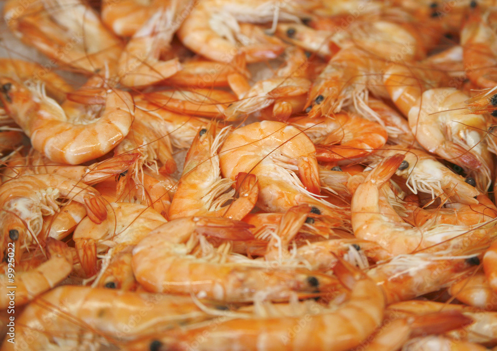 Fresh prawn shrimps on display as a background in market