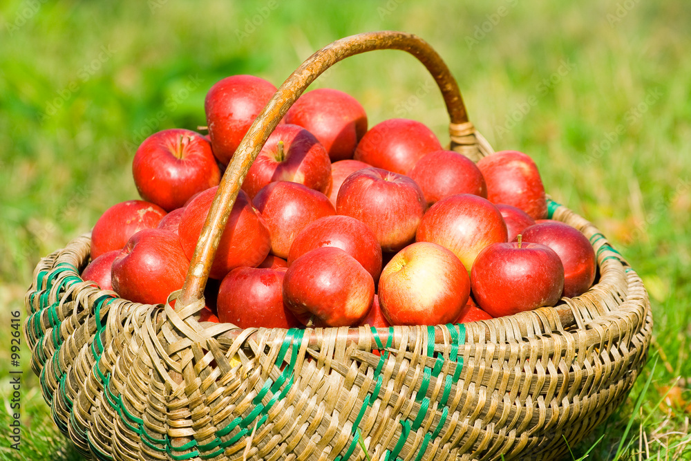Close-up of a basket full of apples Close-up of a basket full of apples