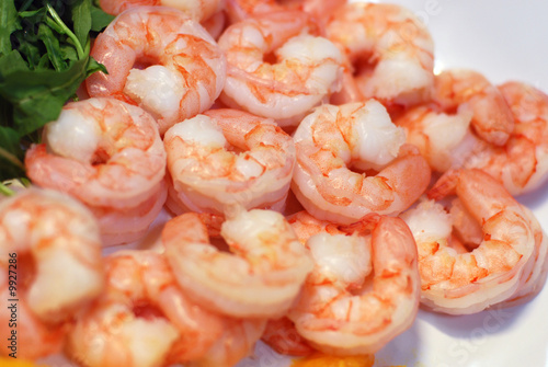 salade4