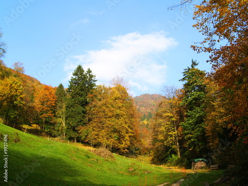 suisse colorée