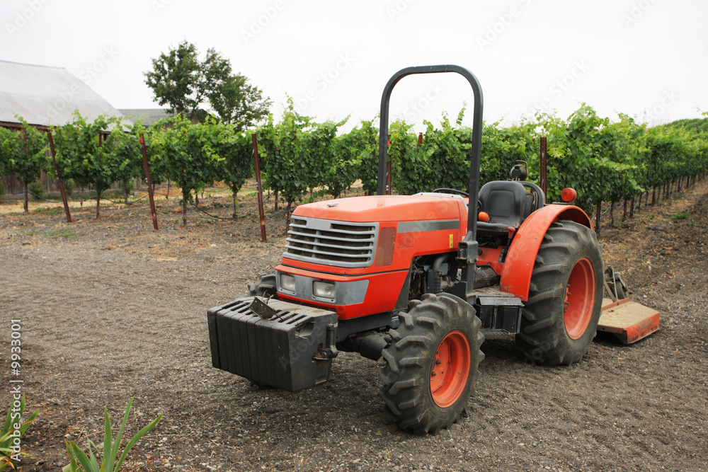 Obraz premium Tractor in vineyard