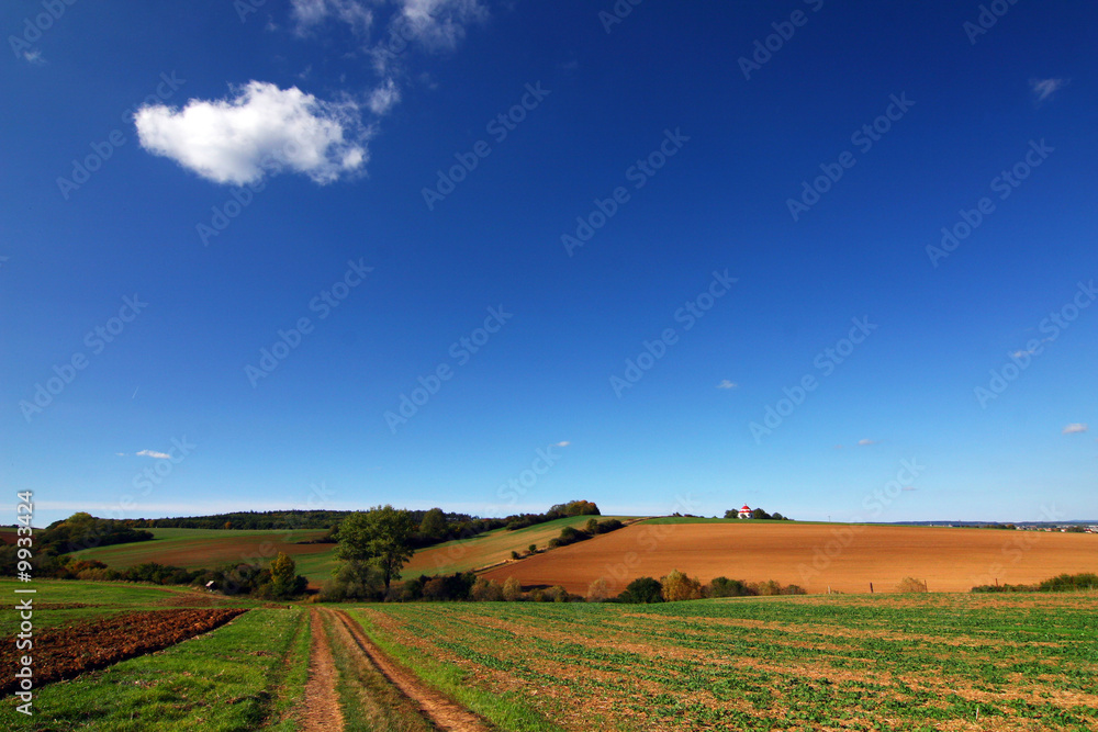 Road through the fields and blue sky with clouds