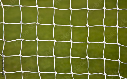 Goal net