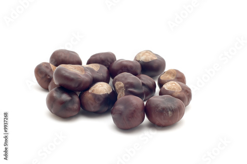 Wallpaper Mural object on white - food chestnut Torontodigital.ca