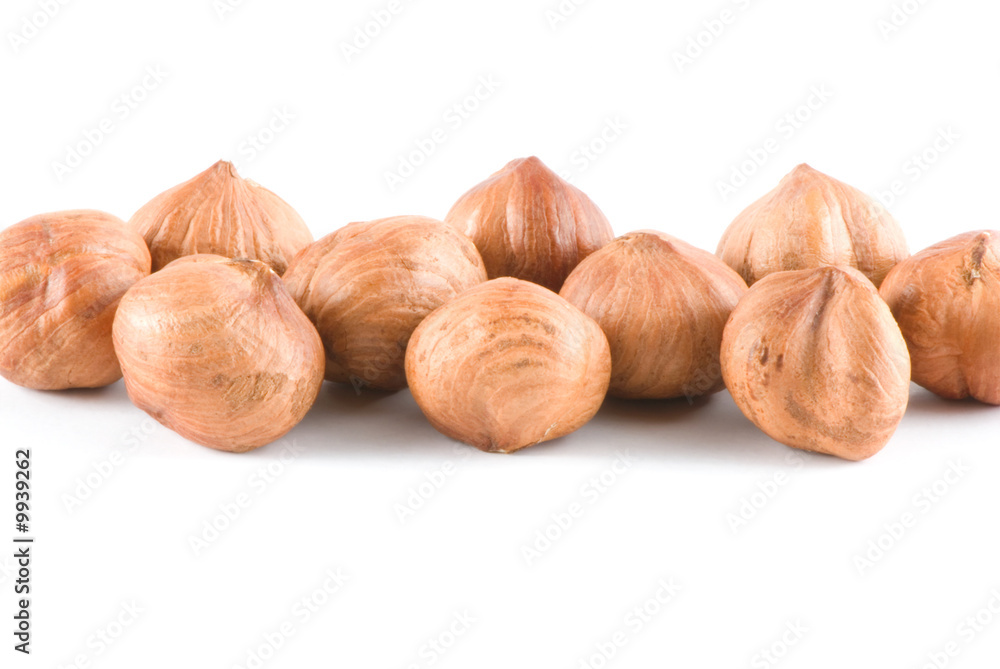 filberts filberts