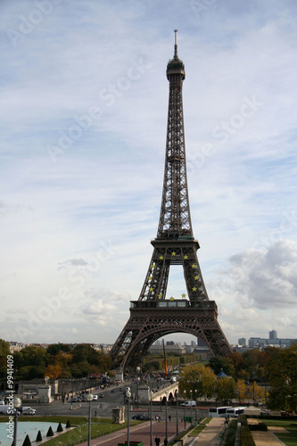 Fototapeta Naklejka Na Ścianę i Meble -  The Eiffel Tower and the Iena bridge