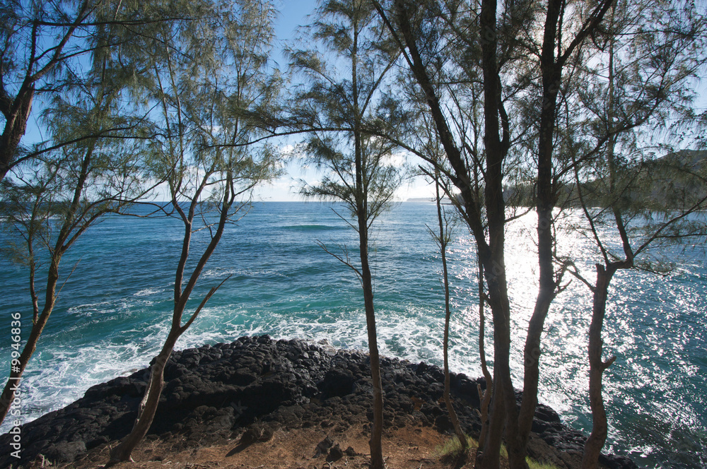 Tropical Shoreline on Kauai, Hawaii