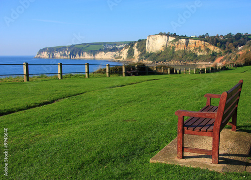 Beer headland from Seaton