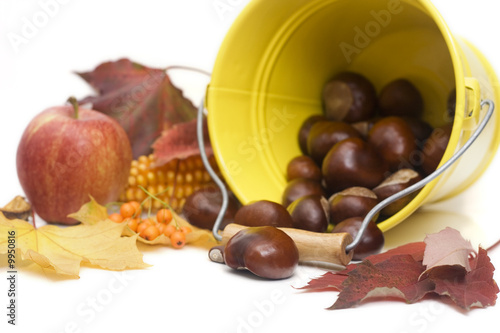 chestnuts spilling out from a yellow bucket