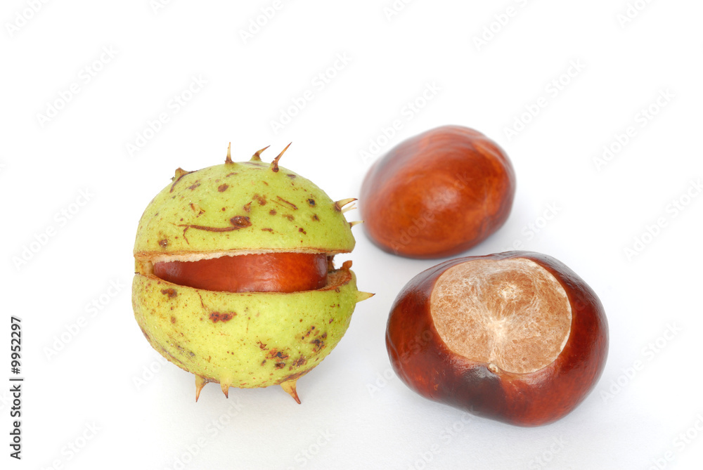 Horse-chestnuts isolated on white background Horse-chestnuts isolated on white background