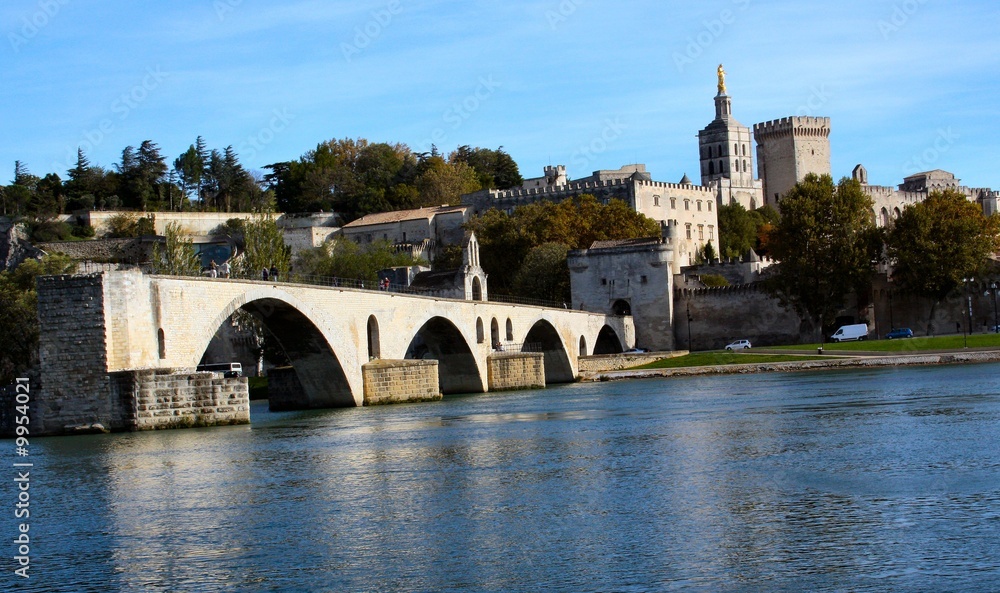 Avignon vu du Rhone