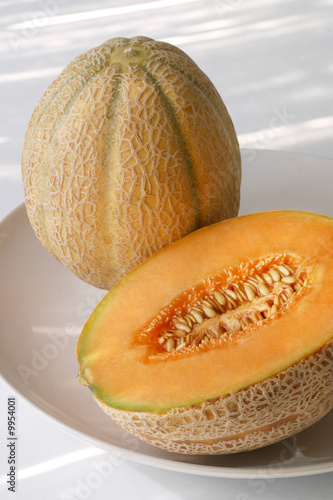 melone cantalupo
