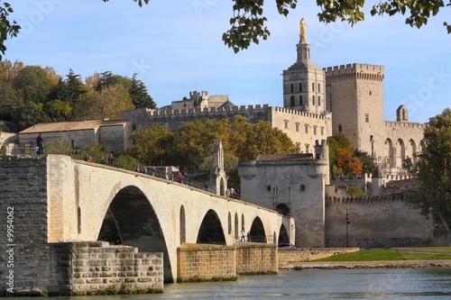 Εκτύπωση καμβά Pont d'Avignon et palais des Papes