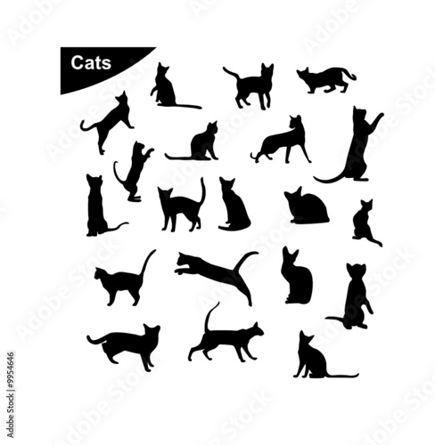 cats silhouettes