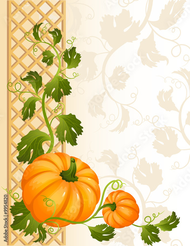pumpkin