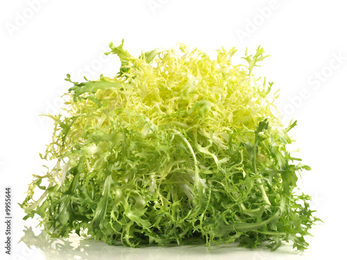 Frisee Salat