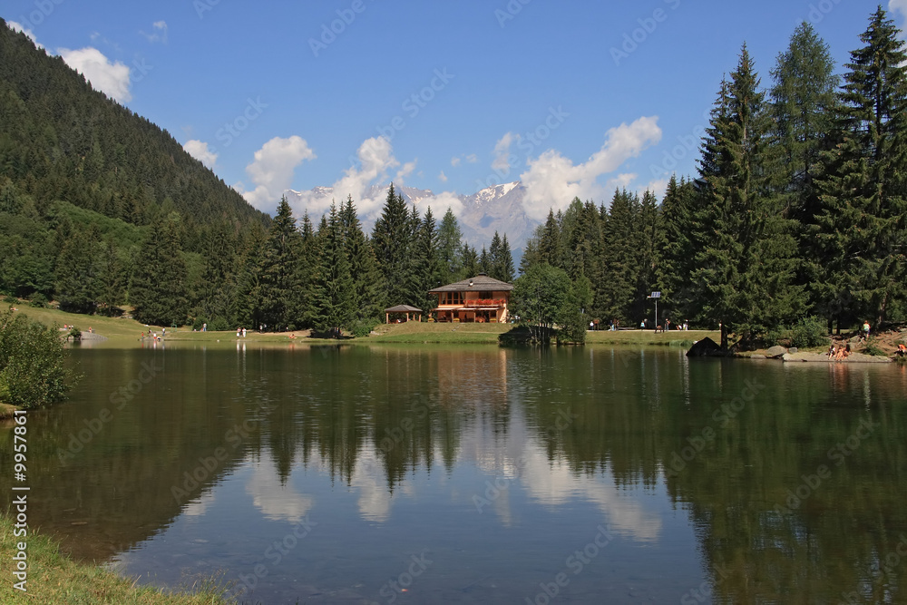 Fototapeta premium Lago dei caprioli