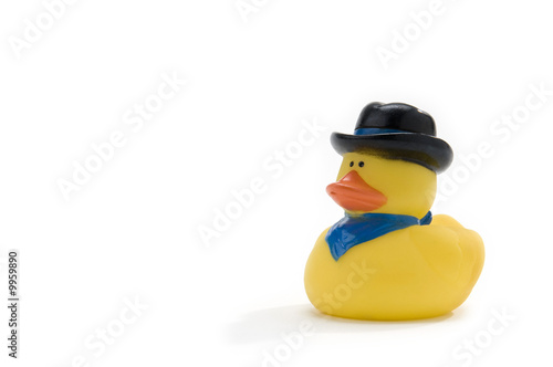 Fotografie rubber duck with black hat and blue bandana