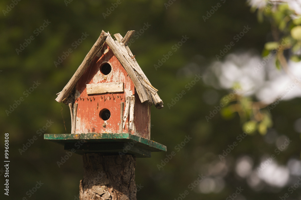 Rustic Birdhouse Amongst Pine Trees Rustic Birdhouse Amongst Pine Trees
