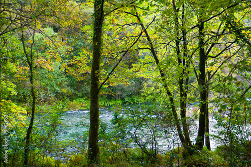 Parque Nacional Fragas del Eume