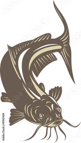 Catfish