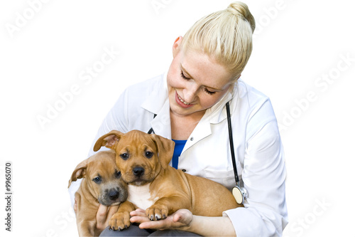 Beautiful young veterinarian holding two sweet puppies
