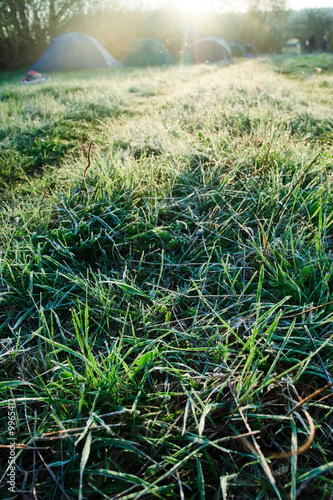 Grass with rime in a morning light with camping in background