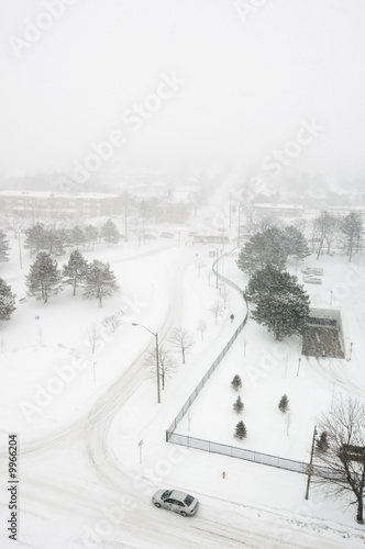 Photography Snowstorm on streets of North York, Ontario