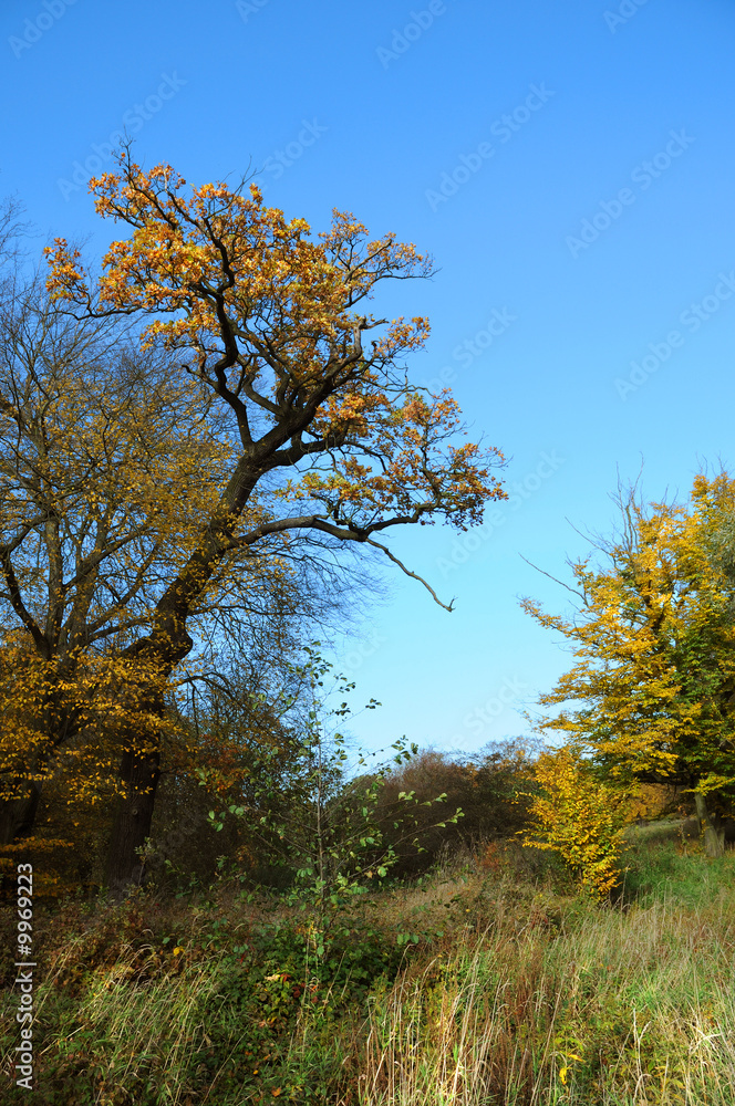 Landschaft 33 Landschaft 33